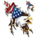Adesivo-Set rapace Aquila USA 20 x 12,5 cm Shred Eagle...