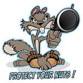Autocollant Protégez vos noix 6,5 x 6 cm Protect Your Nuts Squirrel Gun Sticker