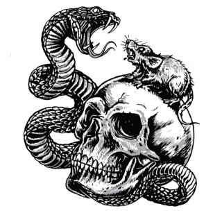 Pegatina Serpiente Rata Calavera 7,5 x 6,5 cm Trust No One Skull Rat Snake Decal