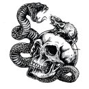 Autocollant Crâne Rat Serpent 7,5 x 6,5 cm Trust No...